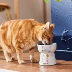 Disney Winnie The Pooh Tall Shape Non-Skid Elevated Ceramic Cat Bowl 9 Disney Winnie The Pooh Tall Shape Non-Skid Elevated Ceramic Cat Bowl -Pet Cat Supplies Store 291407 PT3. AC SS1800 V1633979783