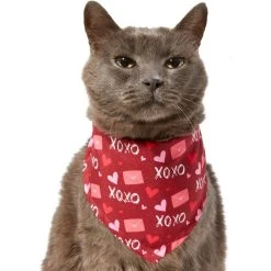 Frisco Love Letters Dog & Cat Bandana -Pet Cat Supplies Store 292051 PT2. AC SS1800 V1637269050