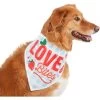 Frisco Love Bites Dog & Cat Bandana -Pet Cat Supplies Store 292054 MAIN. AC SS1800 V1637268755