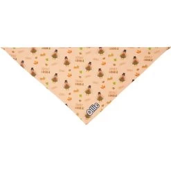 Frisco Quirky Thanksgiving Personalized Dog & Cat Bandana -Pet Cat Supplies Store 296986 PT3. AC SS1800 V1627654956