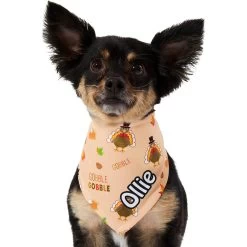 Frisco Quirky Thanksgiving Personalized Dog & Cat Bandana -Pet Cat Supplies Store 296986 PT6. AC SS1800 V1627654020