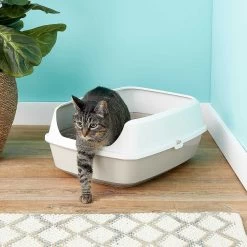 Frisco Decorative Side Table Cat Litter Box Cover & Frisco Open Top Cat Litter Box With Rim, Large -Pet Cat Supplies Store 297992 PT6. AC SS1800 V1621299762