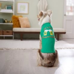 Frisco Let's Get Shamrocked Dog & Cat T-Shirt -Pet Cat Supplies Store 300184 PT8. AC SS1800 V1639597401