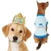 Frisco Happy Birthday Dog & Cat Crown & Frisco It's My Birthday & Cat T-Shirt 2 Frisco Happy Birthday Dog & Cat Crown & Frisco It's My Birthday & Cat T-Shirt -Pet Cat Supplies Store 302470 MAIN. AC SS1800 V1623076950