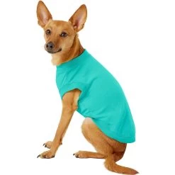 Frisco Basic Dog & Cat T-Shirt & Frisco Dog & Cat Basic Hoodie -Pet Cat Supplies Store 302680 PT3. AC SS1800 V1633065105