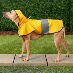 Frisco Lightweight Rainy Days Dog Raincoat & Frisco Lightweight Rubber Ducky Dog Raincoat -Pet Cat Supplies Store 302842 PT4. AC SS1800 V1623052647