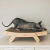 Mau Lifestyle Cardboard Cat Scratcher -Pet Cat Supplies Store 308909 MAIN. AC SS1800 V1635198988