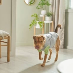 STAR WARS THE MANDALORIAN GROGU "Doesn't Listen" Dog & Cat Raglan T-shirt -Pet Cat Supplies Store 311884 PT8. AC SS1800 V1643325840