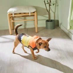 STAR WARS THE MANDALORIAN & GROGU Colorblock Dog & Cat Hoodie 15 STAR WARS THE MANDALORIAN & GROGU Colorblock Dog & Cat Hoodie -Pet Cat Supplies Store 311892 PT8. AC SS1800 V1643325712