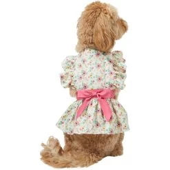 Frisco Dainty Pink Floral Dog & Cat Dress -Pet Cat Supplies Store 312136 PT2. AC SS1800 V1703872208
