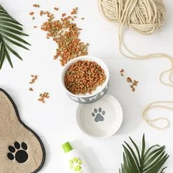 Bone Dry Meow Set Cat Bowl -Pet Cat Supplies Store 313413 PT6. AC SS1800 V1631764117