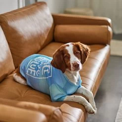 Frisco Peace Love Rescue Dog & Cat T-Shirt -Pet Cat Supplies Store 315068 PT8. AC SS1800 V1646351303