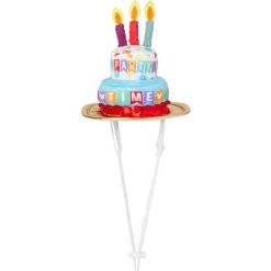 Disney Mickey Mouse Birthday Dog & Cat Hat