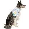 Disney Winnie The Pooh Birthday Dog & Cat Bandana -Pet Cat Supplies Store 316080 MAIN. AC SS1800 V1646176432
