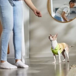 STAR WARS THE MANDALORIAN GROGU Lightweight Dog & Cat Fleece Vest -Pet Cat Supplies Store 316119 PT8. AC SS1800 V1646179025