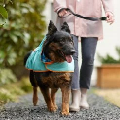 Pixar Finding Nemo Lightweight "Make A Splash" Dog & Cat Packable Raincoat -Pet Cat Supplies Store 316506 PT8. AC SS1800 V1646180597