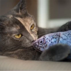 Pet Fit For Life Robotic Floppy Fish & Wand Cat Toy -Pet Cat Supplies Store 316700 PT7. AC SS1800 V1631761951