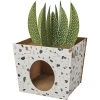 Frisco Potted Succulent Cardboard Cat House 1 Frisco Potted Succulent Cardboard Cat House -Pet Cat Supplies Store 317723 MAIN. AC SS1800 V1688677259