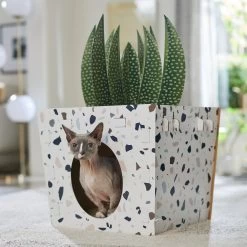 Frisco Potted Succulent Cardboard Cat House -Pet Cat Supplies Store 317723 PT4. AC SS1800 V1688677260