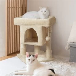 Pet Cat Supplies Store 16 Yaheetech 2-Level 23.5-in Plush Cat Tree & Condo
