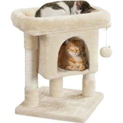 Pet Cat Supplies Store -Pet Cat Supplies Store 325666 PT1. AC SS1800 V1631150195