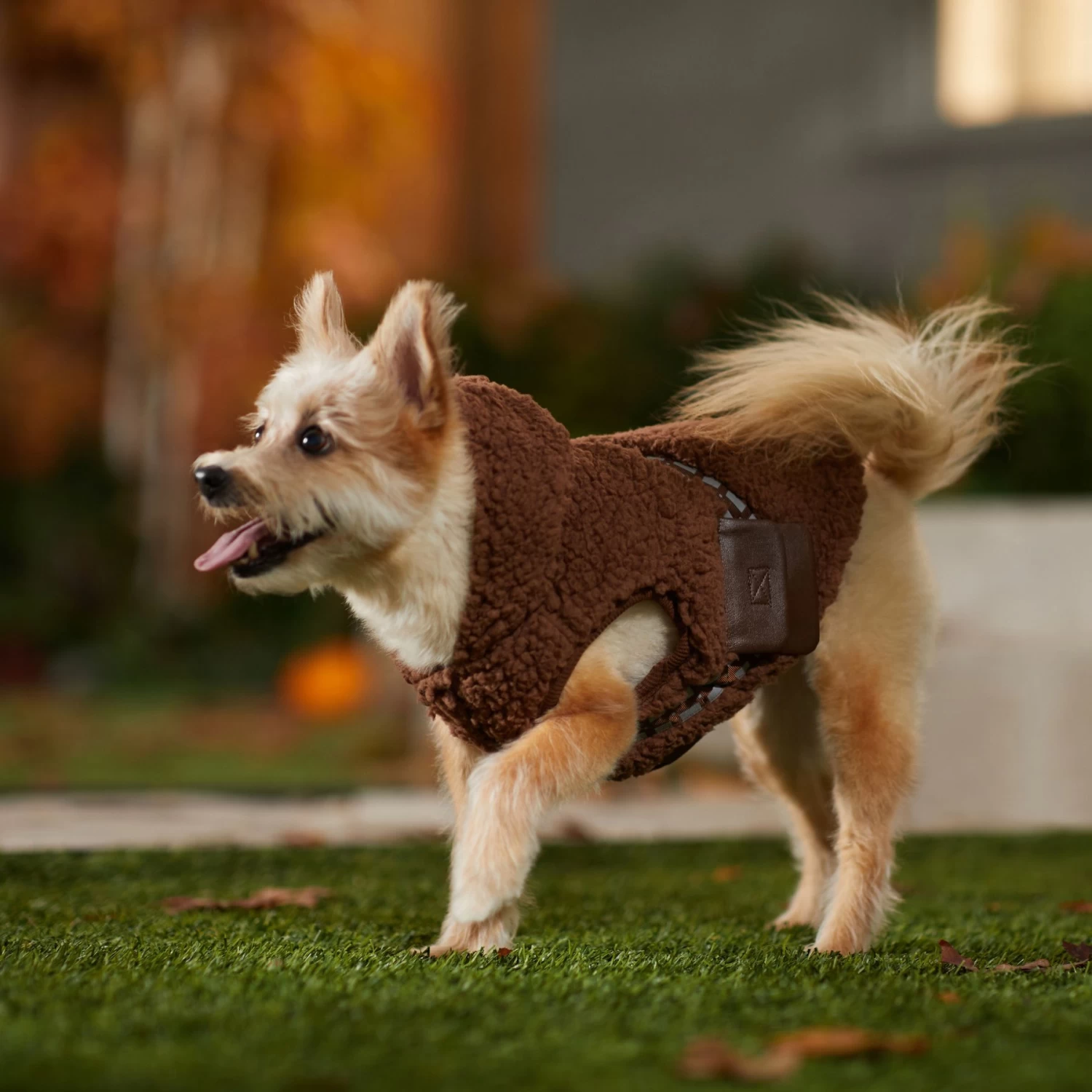 STAR WARS CHEWBACCA Mediumweight Sherpa Dog & Cat Vest 9 STAR WARS CHEWBACCA Mediumweight Sherpa Dog & Cat Vest - Image 7