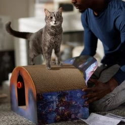 Pixar Coco Marigold Bridge Scratcher Cat Toy -Pet Cat Supplies Store 344557 PT3. AC SS1800 V1689878513