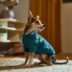 Frisco Teal Button Down Dog & Cat Sweater -Pet Cat Supplies Store 353580 PT7. AC SS1800 V1660749932
