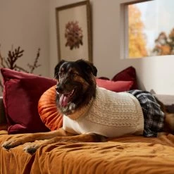 Frisco Plaid Dog & Cat Sweater Dress -Pet Cat Supplies Store 353673 PT7. AC SS1800 V1660750173