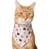 Frisco Apple Dog & Cat Bandana -Pet Cat Supplies Store 353786 MAIN. AC SS1800 V1659011013