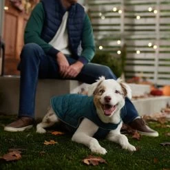 Frisco Mediumweight Reversible Dog & Cat Coat -Pet Cat Supplies Store 353932 PT7. AC SS1800 V1660749442