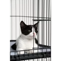 Prevue Pet Products Cat Cage Replacement Shelf -Pet Cat Supplies Store 354652 PT3. AC SS1800 V1662065985