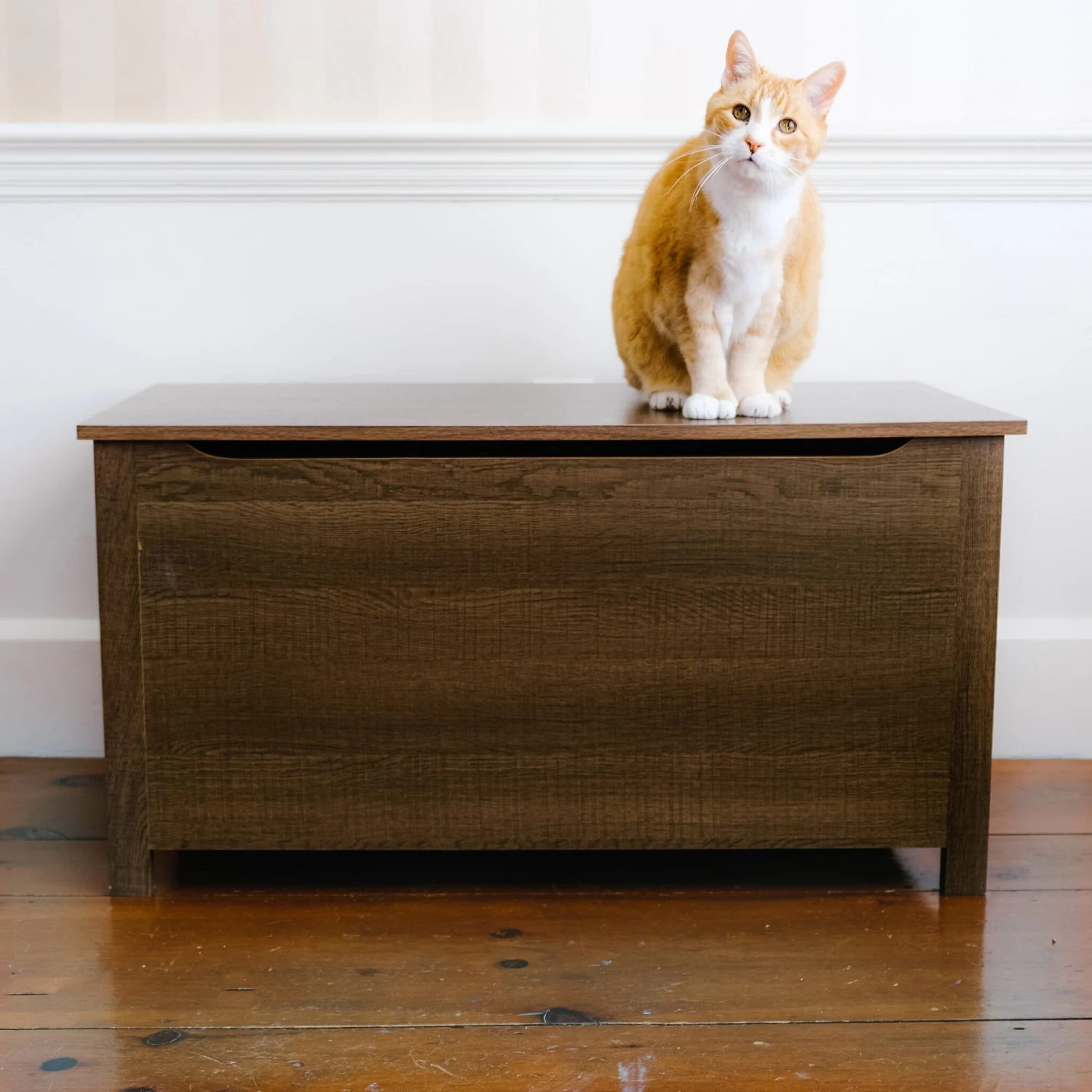 Designer Pet Products Parker Designer Wood Catbox Furniture Litter Box Enclosure, 36-in 8 Designer Pet Products Parker Designer Wood Catbox Furniture Litter Box Enclosure, 36-in - Image 6