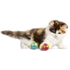 SmartyKat Flicker Balls Electronic Light Ball Cat Toy, Multicolor, Small, 2 Count 11 SmartyKat Flicker Balls Electronic Light Ball Cat Toy, Multicolor, Small, 2 Count -Pet Cat Supplies Store 362928 PT3. AC SS1800 V1642646213