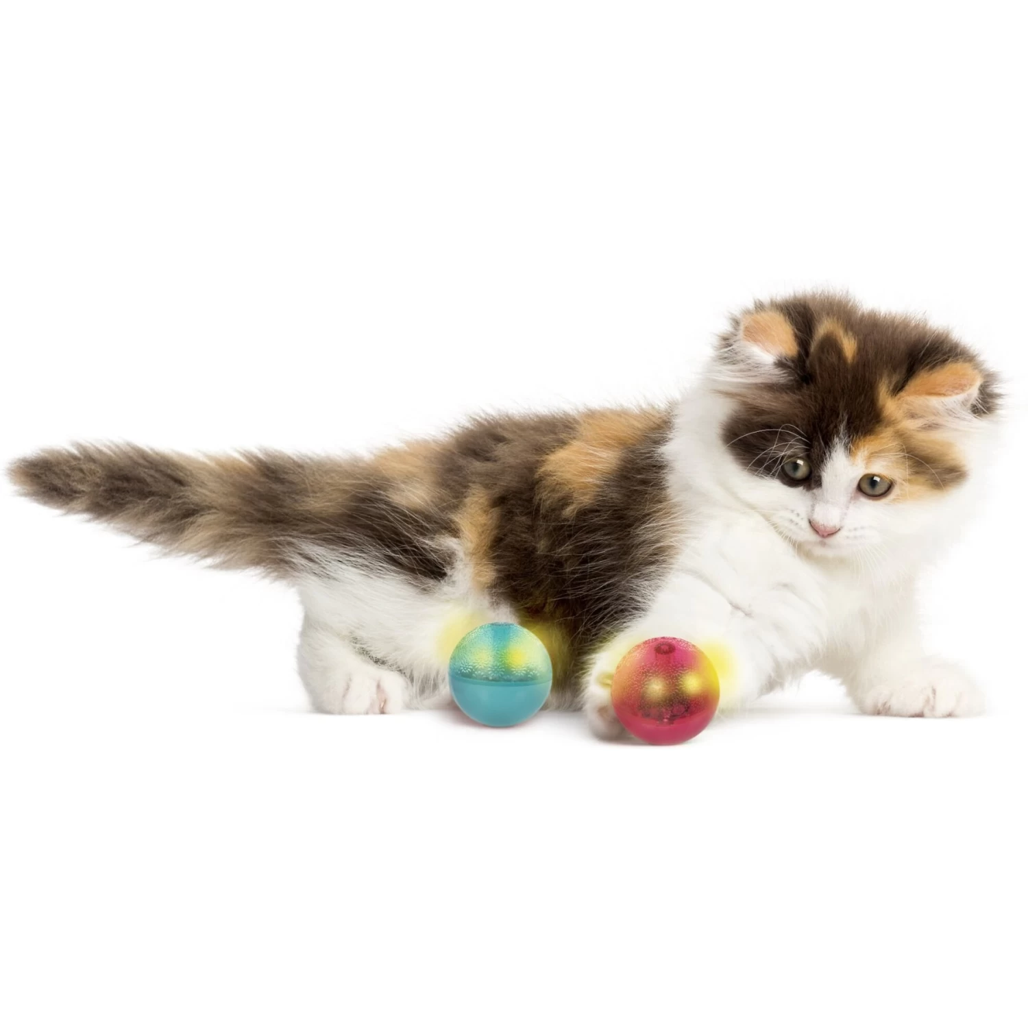 SmartyKat Flicker Balls Electronic Light Ball Cat Toy, Multicolor, Small, 2 Count 6 SmartyKat Flicker Balls Electronic Light Ball Cat Toy, Multicolor, Small, 2 Count - Image 4