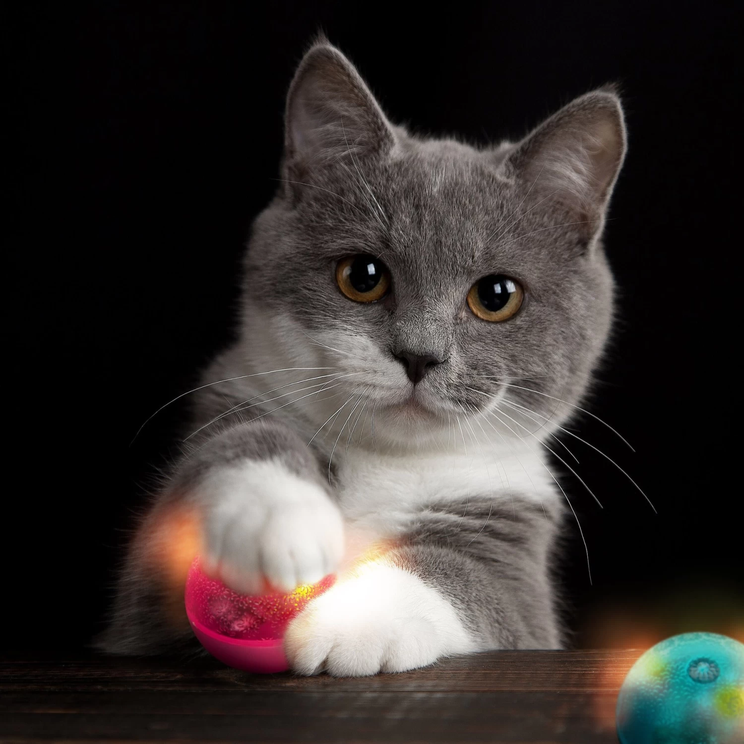 SmartyKat Flicker Balls Electronic Light Ball Cat Toy, Multicolor, Small, 2 Count 7 SmartyKat Flicker Balls Electronic Light Ball Cat Toy, Multicolor, Small, 2 Count - Image 5