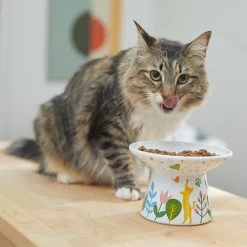 Frisco Cat Face Floral Wide Shape Elevated Non-Skid Ceramic Cat Bowl -Pet Cat Supplies Store 363377 PT3. AC SS1800 V1657657267
