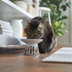 Frisco Cat Face Wide Shape Elevated Non-Skid Ceramic Cat Bowl 10 Frisco Cat Face Wide Shape Elevated Non-Skid Ceramic Cat Bowl -Pet Cat Supplies Store 363381 PT3. AC SS1800 V1657657267