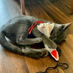 Meowijuana Get Blasted Rocket Wand Refillable Cat Toy With Catnip 9 Meowijuana Get Blasted Rocket Wand Refillable Cat Toy With Catnip -Pet Cat Supplies Store 363606 PT2. AC SS1800 V1643906482