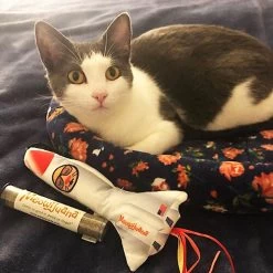 Meowijuana Get Blasted Rocket Wand Refillable Cat Toy With Catnip 10 Meowijuana Get Blasted Rocket Wand Refillable Cat Toy With Catnip -Pet Cat Supplies Store 363606 PT3. AC SS1800 V1643906482