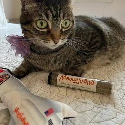 Meowijuana Get Blasted Rocket Wand Refillable Cat Toy With Catnip 11 Meowijuana Get Blasted Rocket Wand Refillable Cat Toy With Catnip -Pet Cat Supplies Store 363606 PT4. AC SS1800 V1643906483