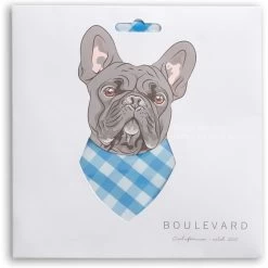 Boulevard Personalized Remy Gingham Dog Bandana -Pet Cat Supplies Store 370168 PT2. AC SS1800 V1649374631