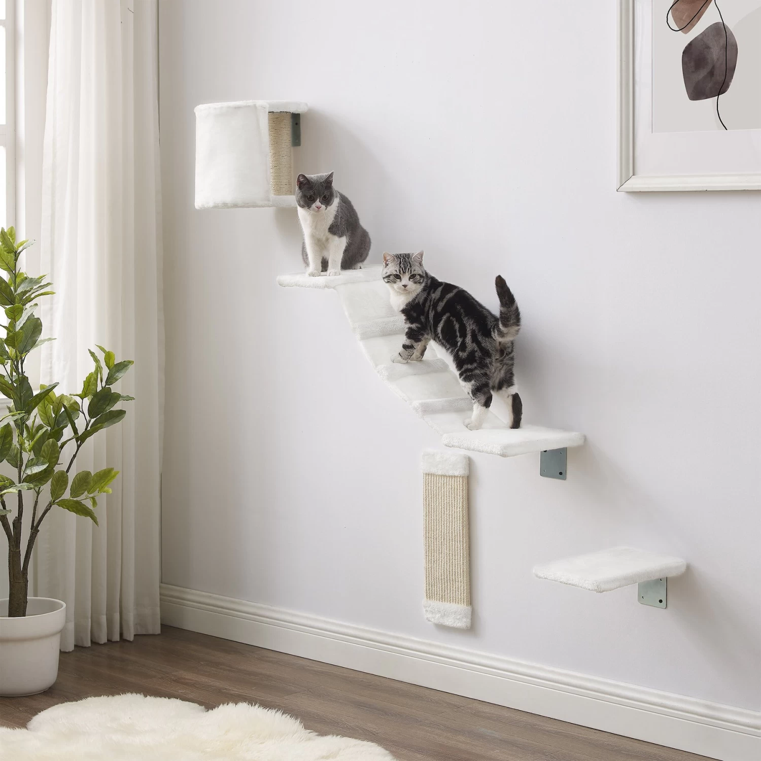 Sam's Pets Addison Wall Climber Cat Tree 3 Sam's Pets Addison Wall Climber Cat Tree