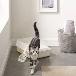 Sam's Pets Helix Cat Litter Box, White -Pet Cat Supplies Store 373533 PT1. AC SS1800 V1647639389