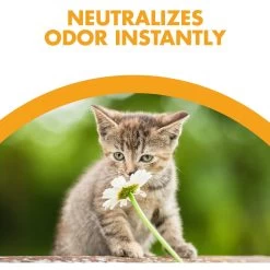 Feline Pine Original Non-Clumping Wood Cat Litter -Pet Cat Supplies Store 47407 PT3. AC SS1800 V1663797194