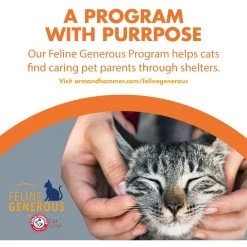 Feline Pine Original Non-Clumping Wood Cat Litter -Pet Cat Supplies Store 47407 PT8. AC SS1800 V1663797230