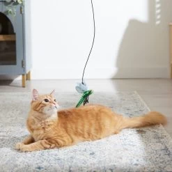 Frisco Leaf & Dragonfly Interchangeable Teaser Wand Cat Toy With Catnip -Pet Cat Supplies Store 525982 PT3. AC SS1800 V1669148131