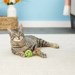 JW Pet Cataction Feather Ball With Bell Cat Toy -Pet Cat Supplies Store 53412 PT7. AC SS1800 V1526316604