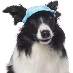 Frisco Blue Ocean Waves 30 + UPF Dog & Cat Beach Cap -Pet Cat Supplies Store 556182 PT3. AC SS1800 V1677530963