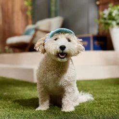 Frisco Blue Ocean Waves 30 + UPF Dog & Cat Beach Cap -Pet Cat Supplies Store 556182 PT5. AC SS1800 V1675714092